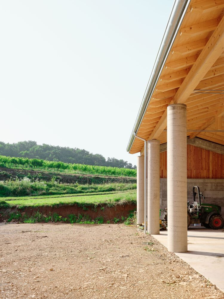 Covered timber structure with exposed rafters and concrete columns facing a vineyard on sloping terrain