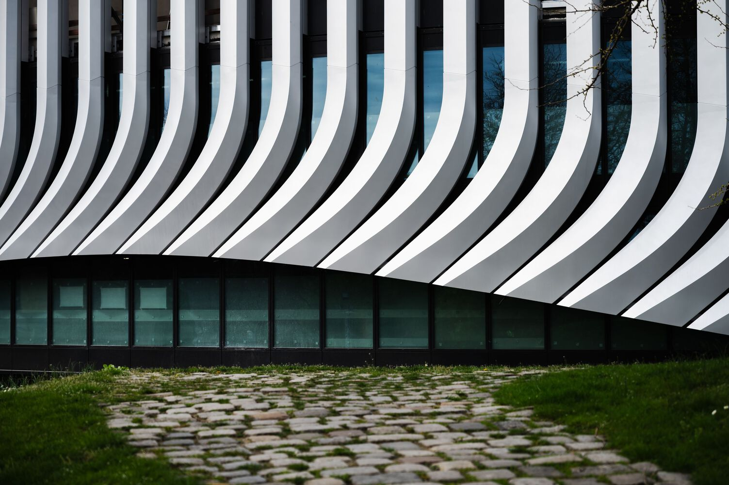 Curved striped facade meeting a grass lawn with cobblestone patches in spring