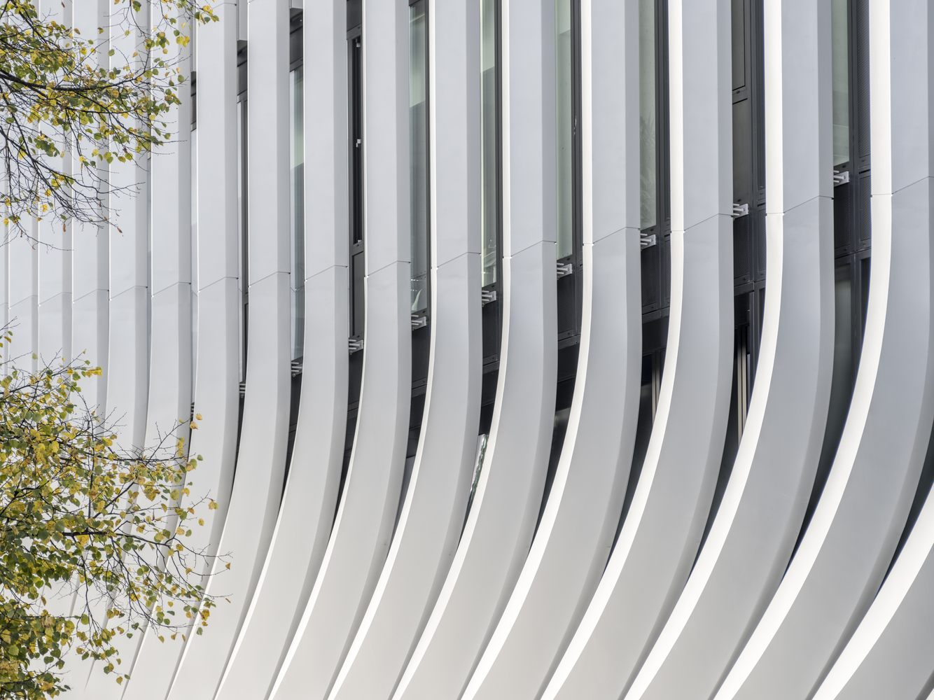 Close-up of white vertical ribbed facade with narrow glazed gaps between the curving fins