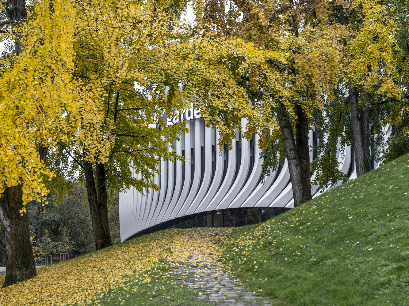 Curved ribbed facade behind autumn trees with fallen yellow leaves covering the ground