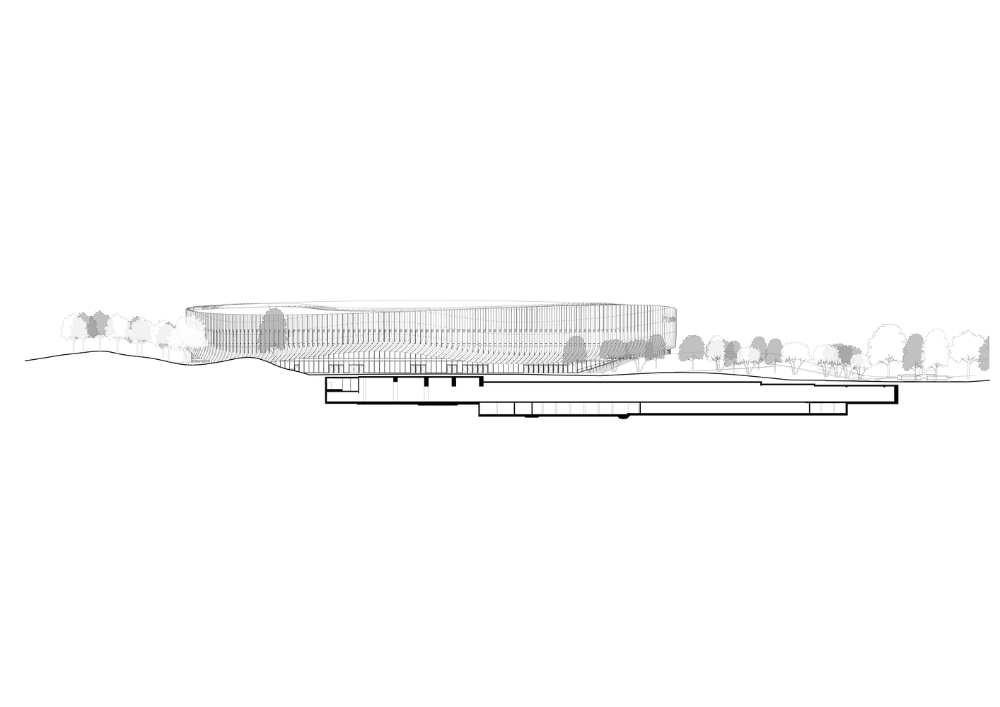 Elevation drawing with section cut showing the ribbed volume above a recessed ground-level plinth and distant trees