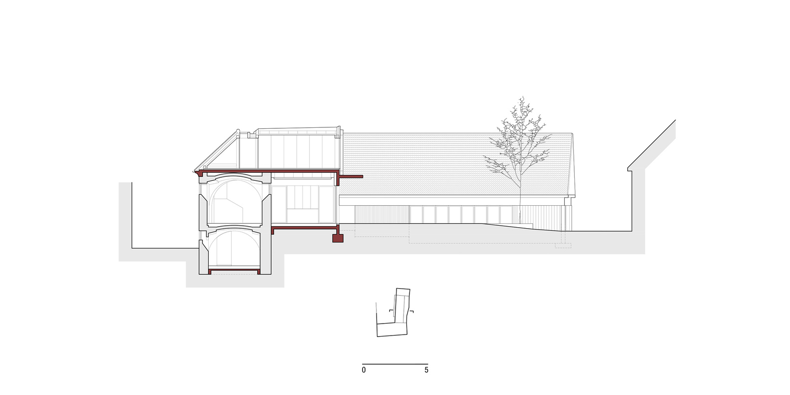 Longitudinal section drawing revealing the internal volumes, roof profile and a tree in the courtyard space