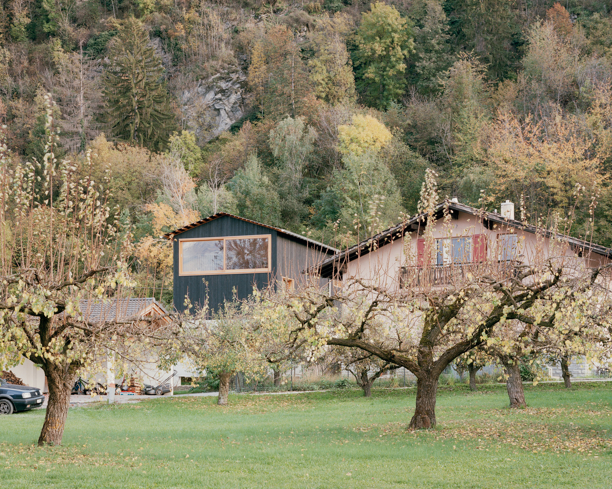 View of the timber-clad volume on a hillside among bare fruit trees and deciduous forest