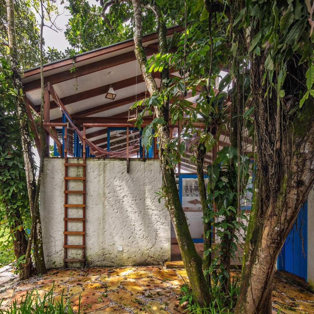 Garden courtyard with sloped roof, white masonry wall, metal ladder, and dappled light filtering through surrounding trees