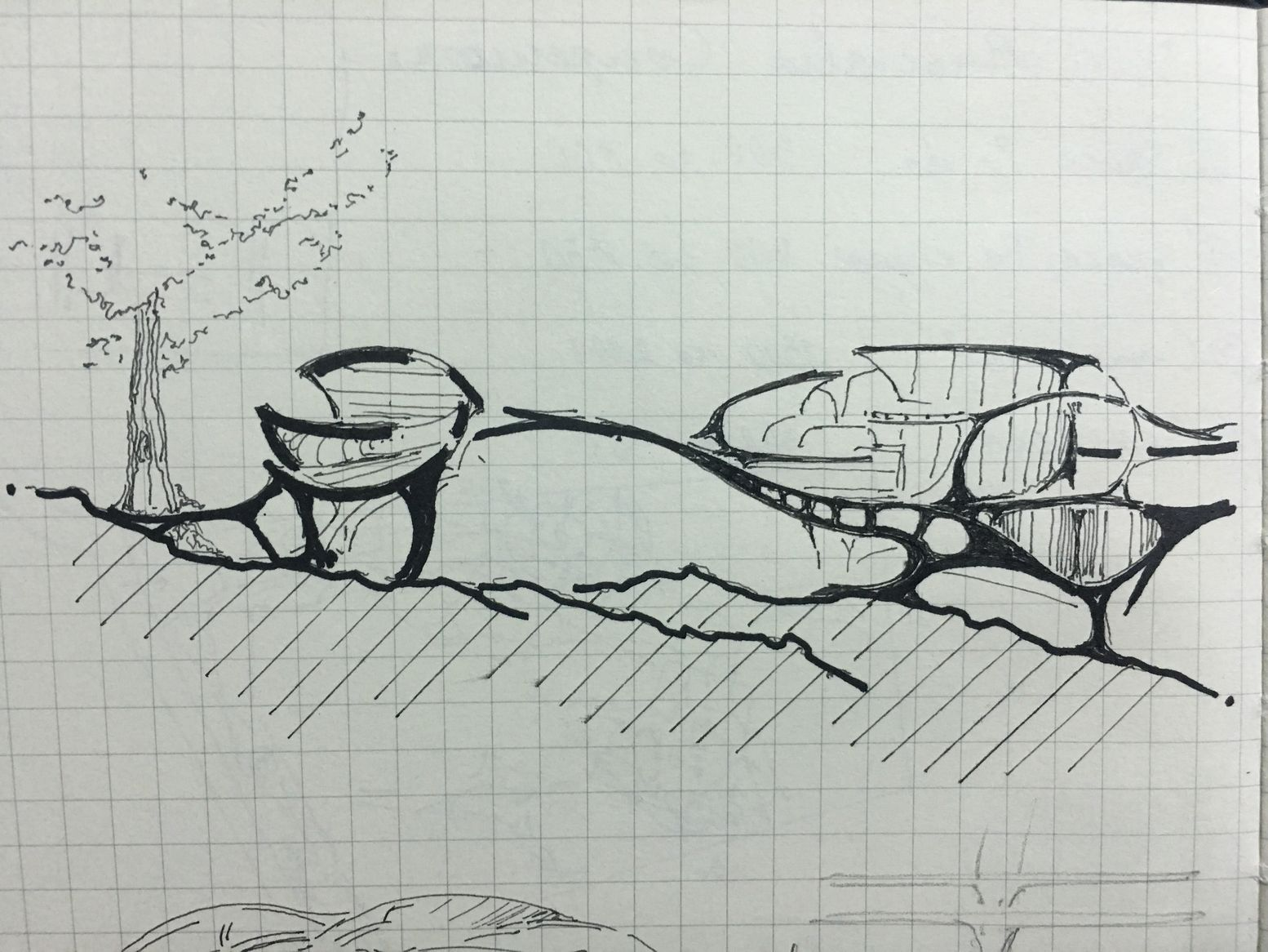 Elevated Walkways - Biophilic design elements connecting various structures in harmony with the terrain.