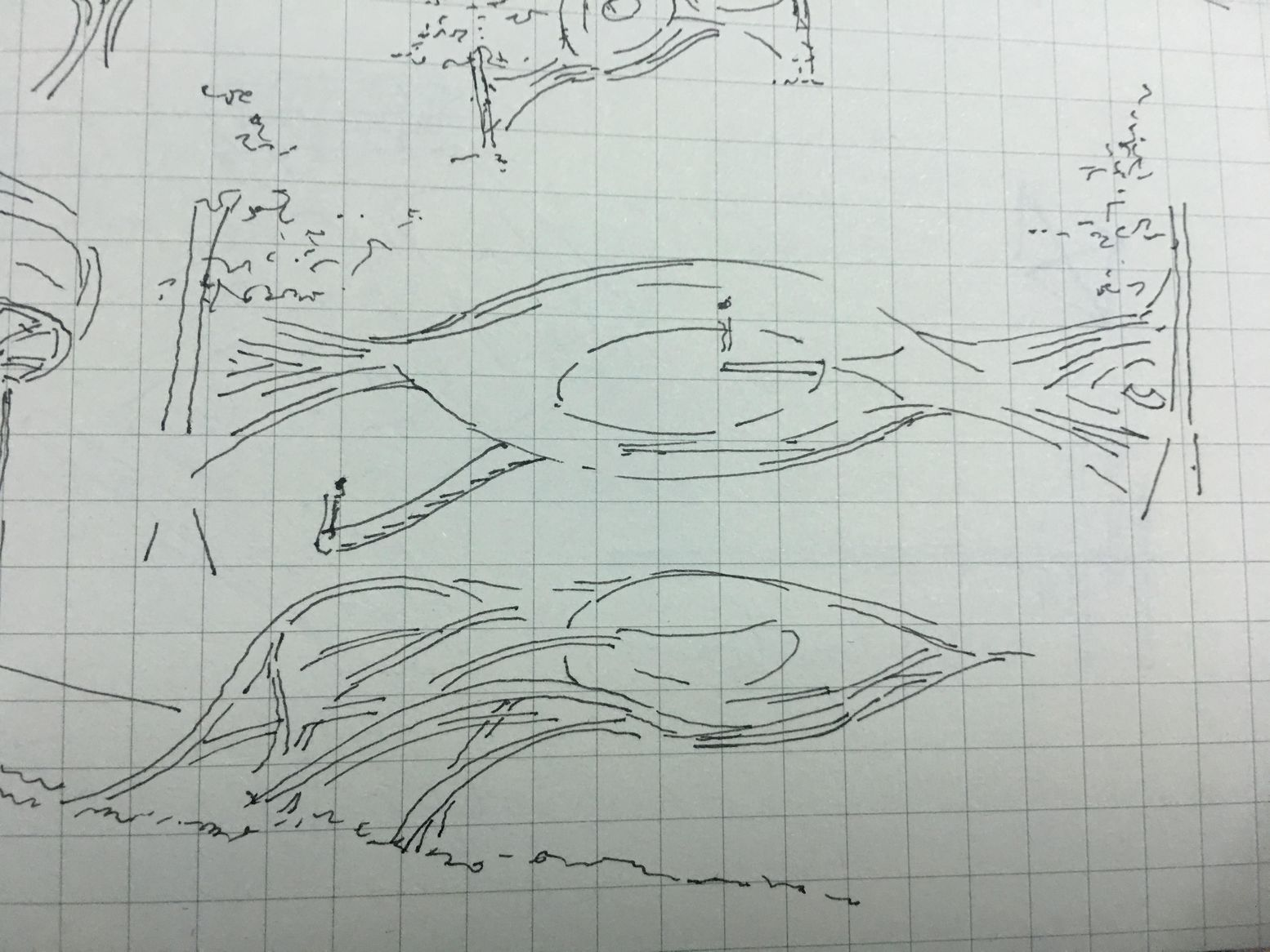 Concept Sketch - Hand-drawn architectural sketches that inspired the organic design of the project.