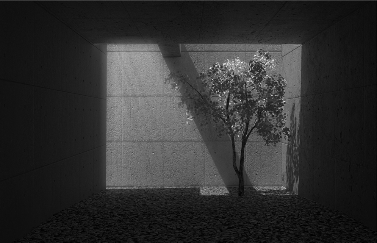 Interior courtyard with a single tree casting shadows on textured concrete walls in bright sunlight