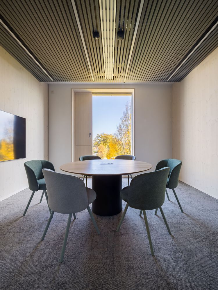 Meeting room with slatted timber ceiling and window framing autumn trees in golden light