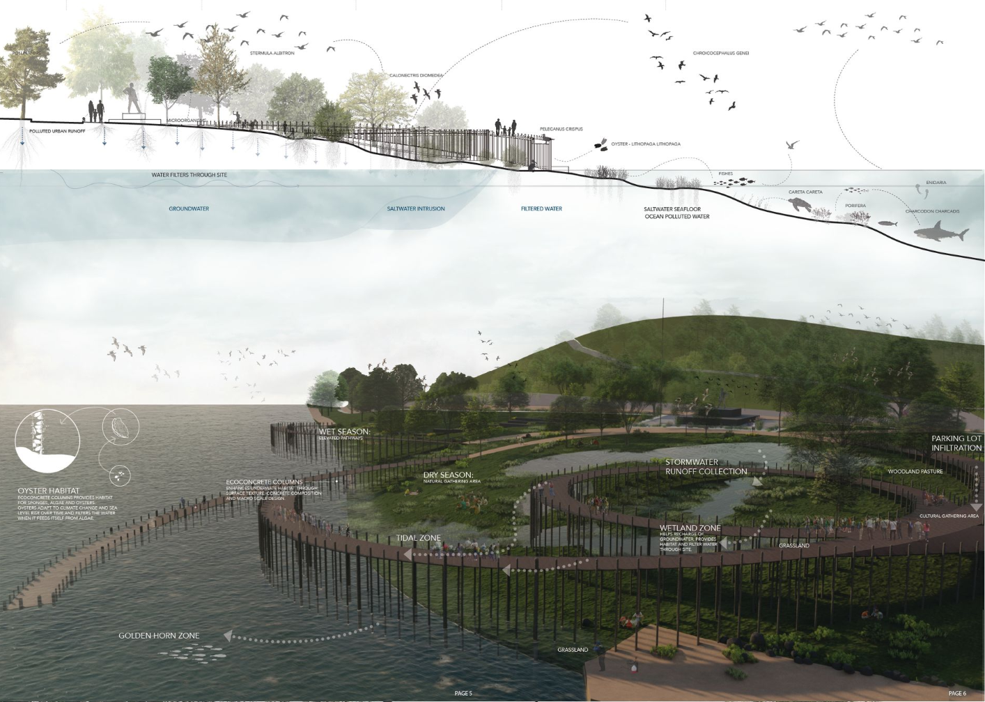 Ecological Water System – A sustainable approach integrating wetlands, oyster habitats, and natural filtration.