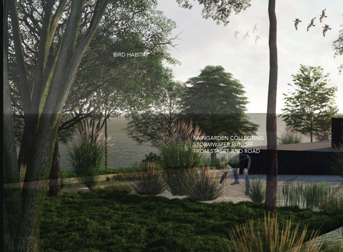 Raingarden & Bird Habitat – A sustainable landscape that supports biodiversity and stormwater filtration.