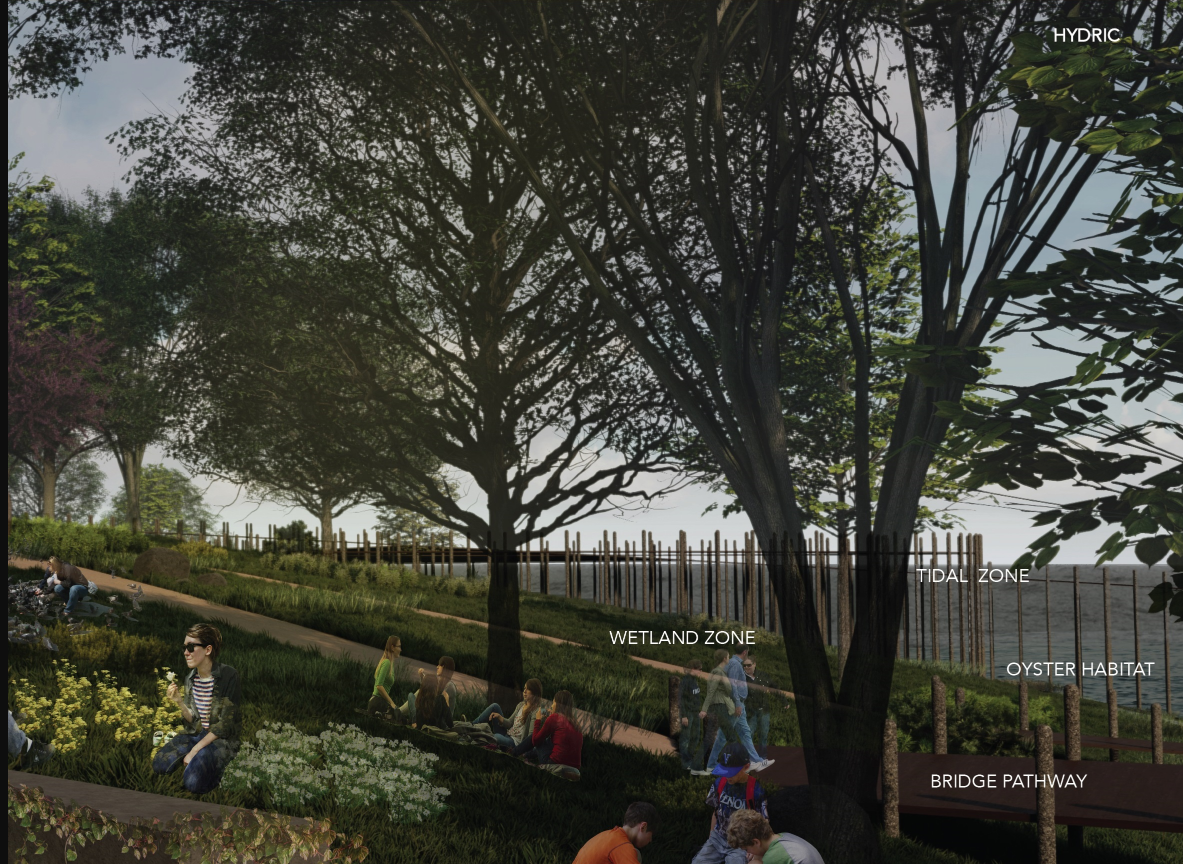 Wetland & Tidal Zone – A resilient ecosystem blending nature and public space.