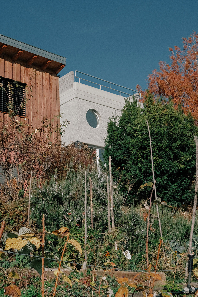 White rendered volume with porthole window and timber clad extension rising above terraced garden beds in autumn