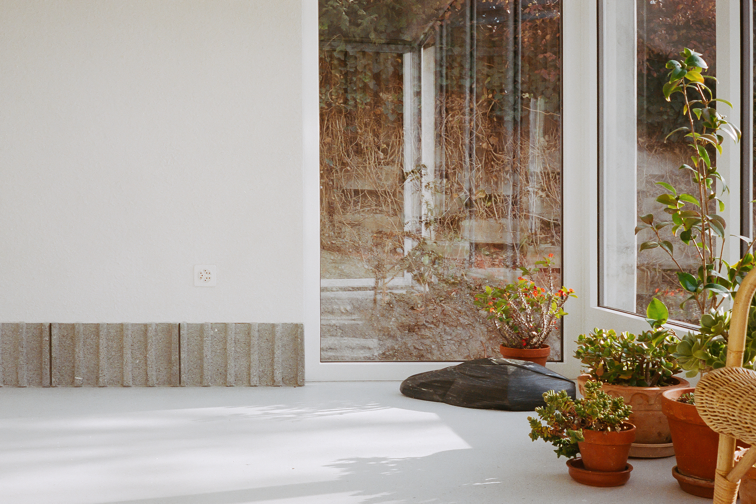 Interior window sill with potted plants and sunlight casting shadows on white polished floor