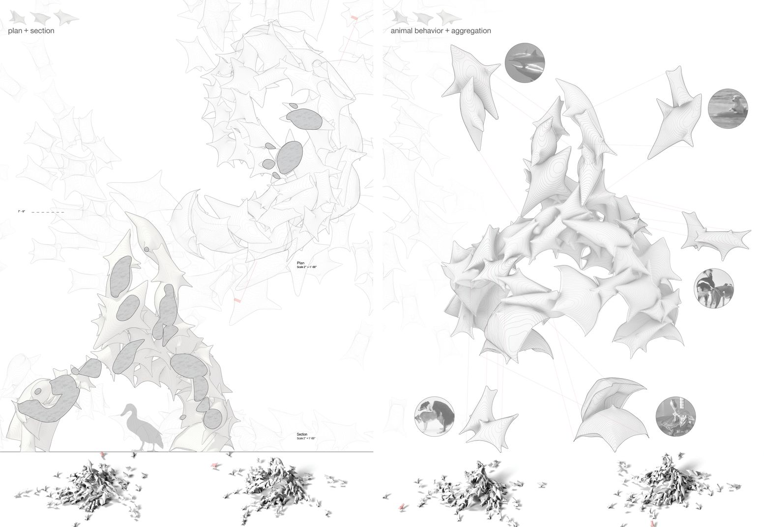 Architectural Blueprint – Technical drawings illustrating the structure’s animal-inspired aggregation.