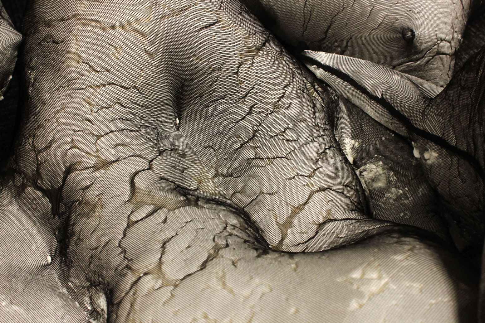 Textured Close-Up – A detailed view of the organic, cracked texture of the installation.