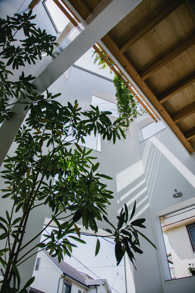 Looking up at the interior courtyard with potted tree and exposed timber ceiling beams