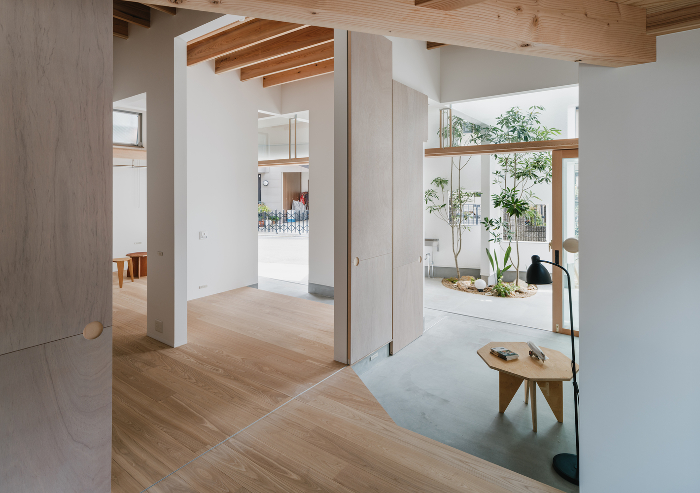 View through interior spaces showing timber ceiling joists and interior courtyard with tree