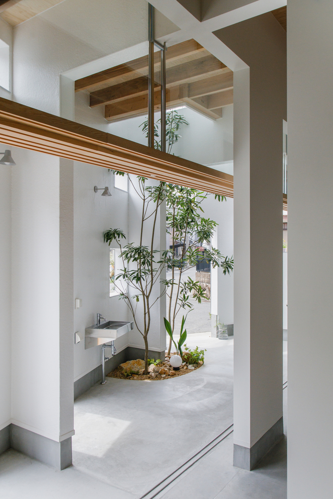 Interior courtyard with a planted tree surrounded by white walls and exposed timber ceiling beams above