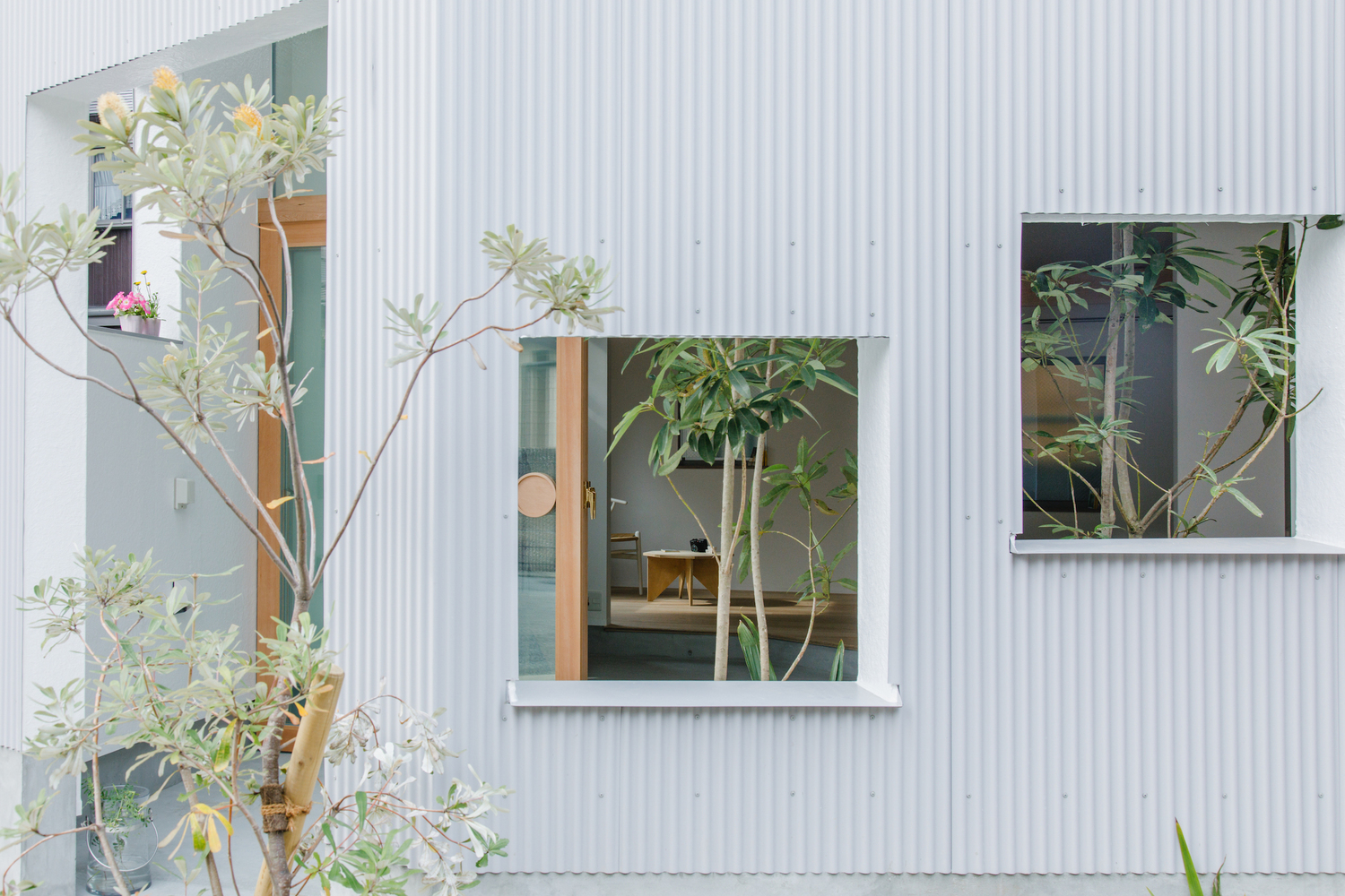 Close-up of the corrugated metal wall with a window framing a planted tree in the interior courtyard