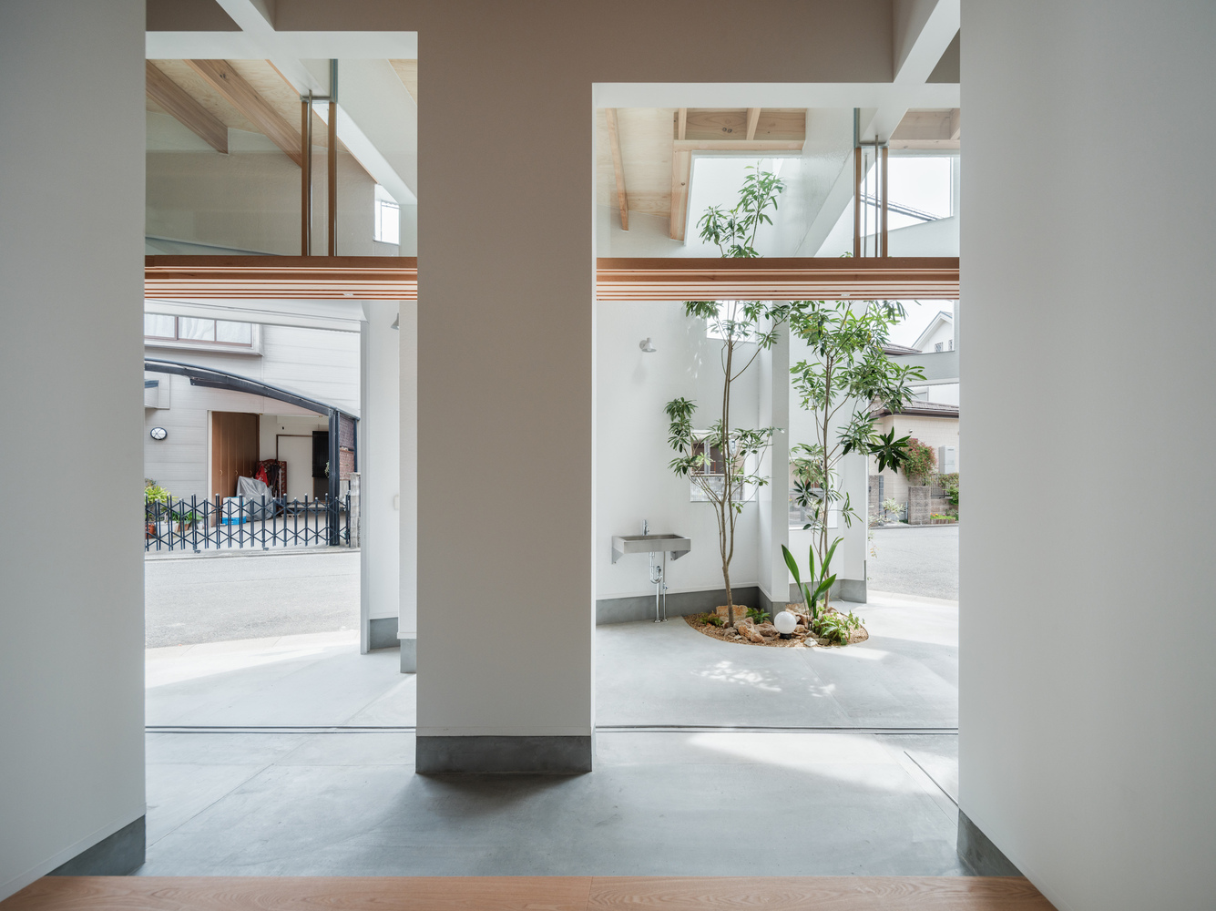 Interior view framing the courtyard tree through paired openings with timber slatted beams overhead