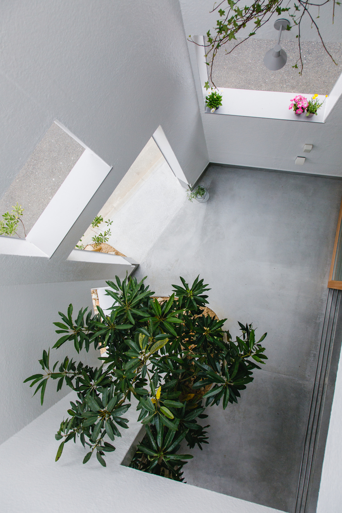 Overhead view of the internal courtyard with concrete floor and planted tree beneath angled skylights