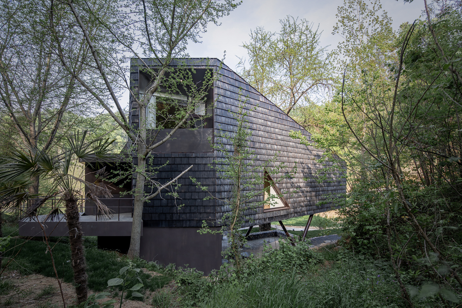 Charcoal-shingled facade rising through dense vegetation with a planted retaining wall at the base