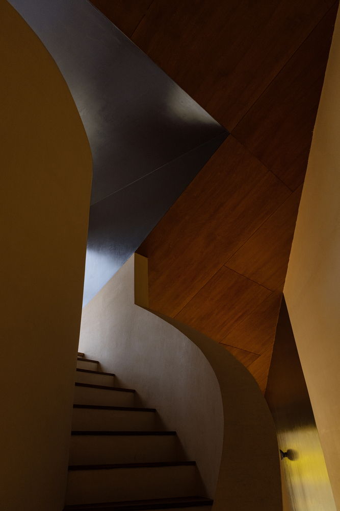 Curved stairwell with intersecting plaster and timber ceiling planes under directional natural light
