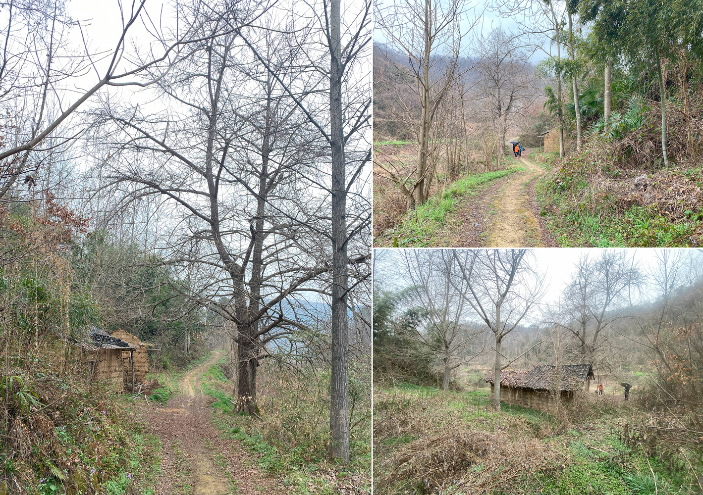 Three views of a dirt path winding through bare winter trees and past small rural structures