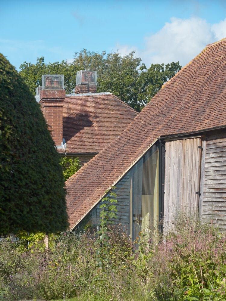 Clay tile roofscape with timber-clad gable and roof lights above wildflower meadow planting
