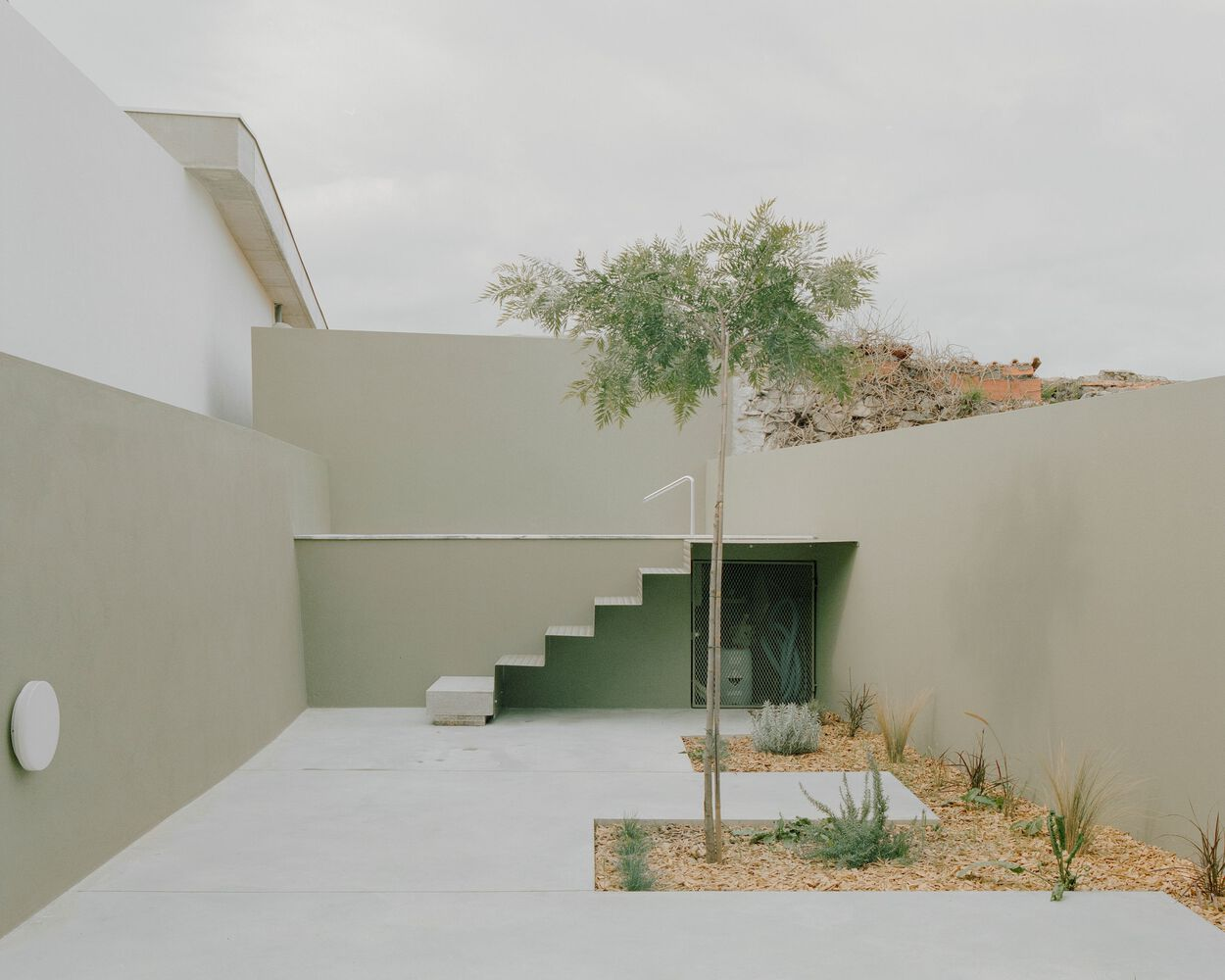 Enclosed courtyard with concrete stairs leading to a green door and young tree planted in gravel