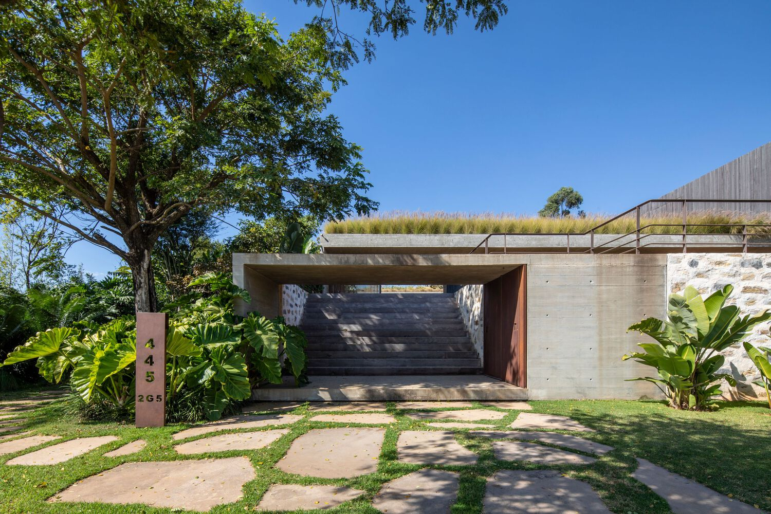 Entry facade with concrete walls, planted roof and garage door beneath a tree canopy