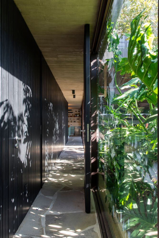 Glazed corridor with dappled sunlight filtering through adjacent tropical plantings onto fluted wall panels