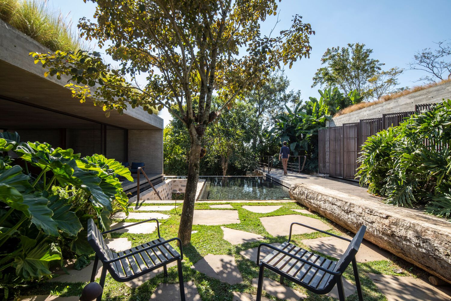 Courtyard pool with lawn stepping stones and a mature tree shading two lounge chairs