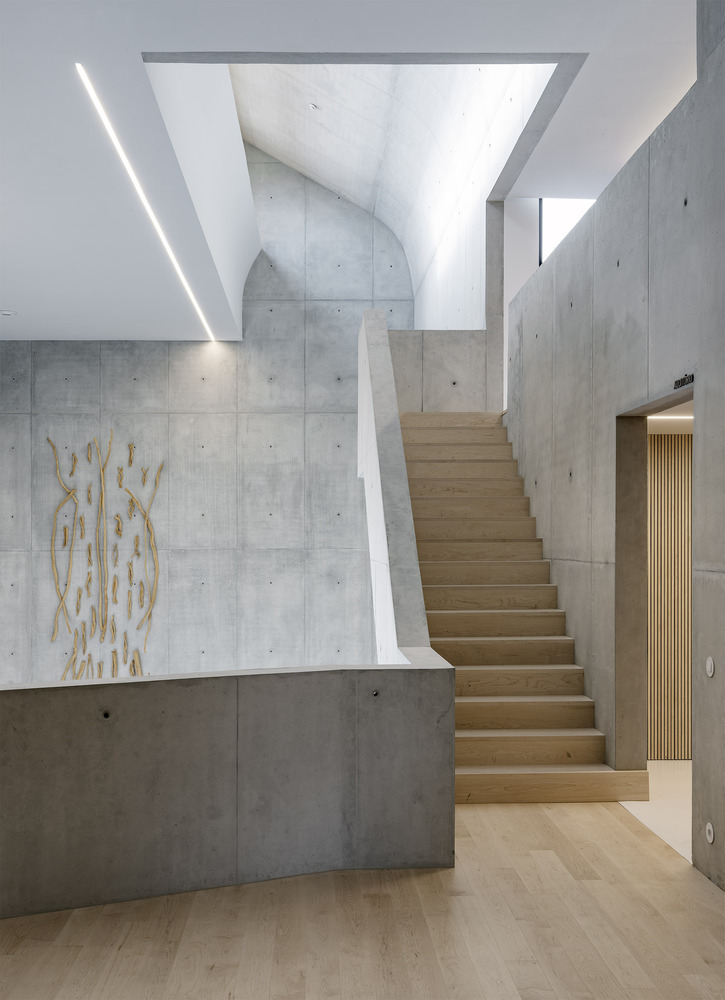 Timber staircase rising through concrete shaft with triangular skylight and decorative brass wall panel