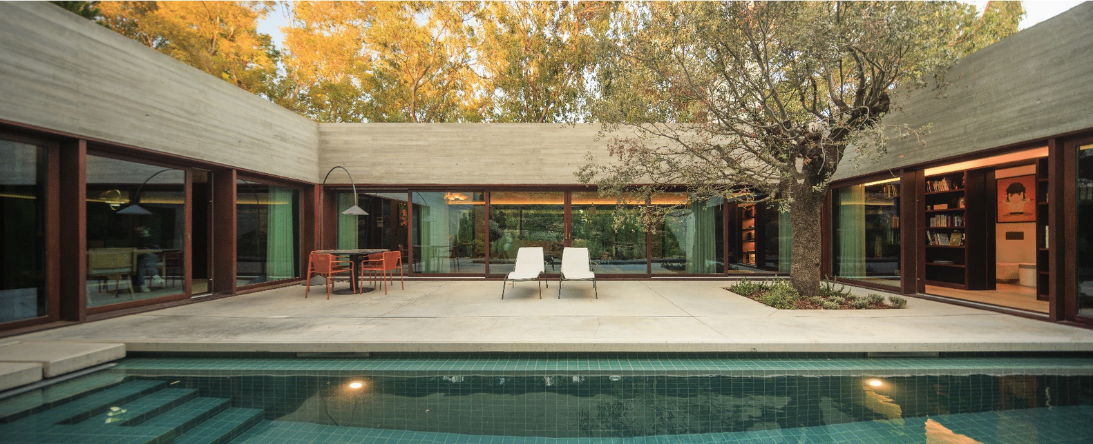 Courtyard pool surrounded by concrete paving and glazed volumes under an olive tree at dusk