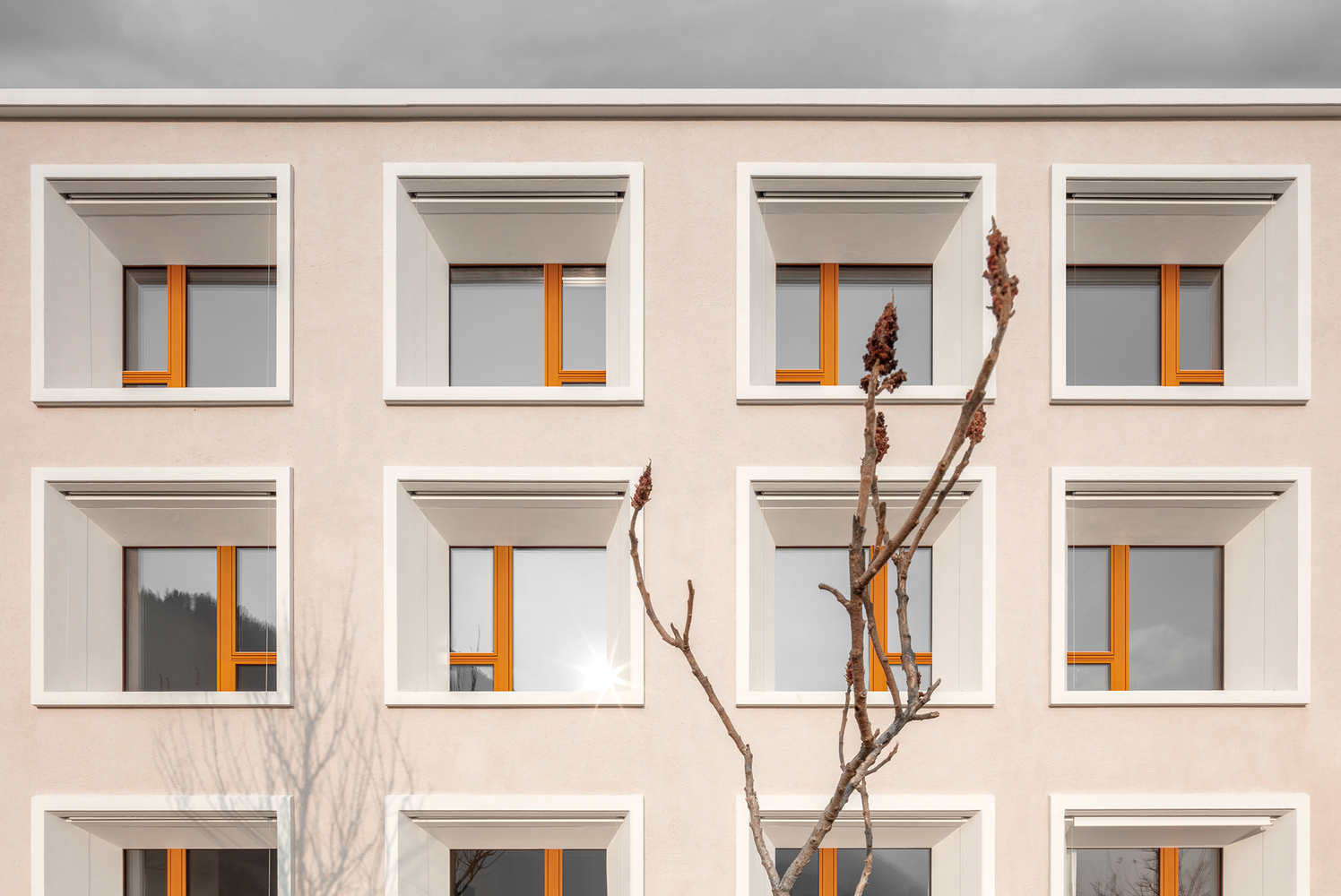 Facade showing grid of recessed windows with white frames and orange casements flanked by bare branches
