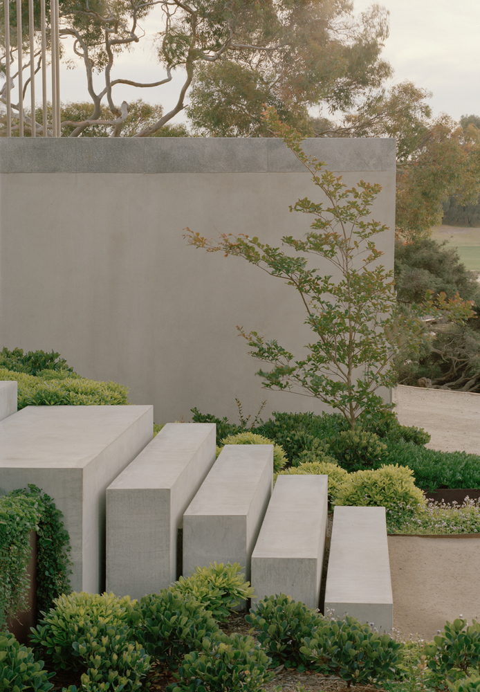 Concrete garden wall with stepped cubic planters filled with low shrubs and a small tree in afternoon haze