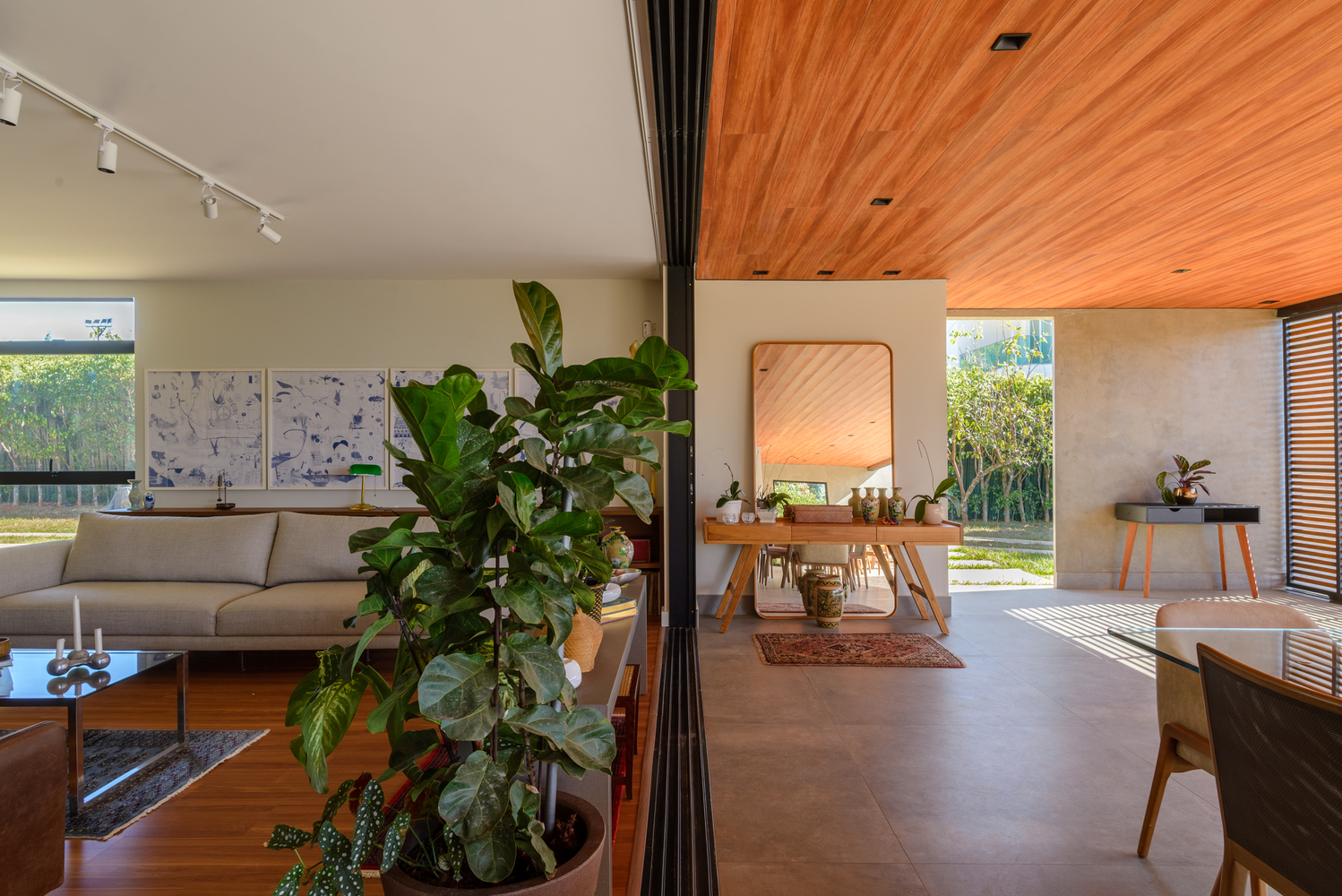 Open living space with exposed timber ceiling plane and potted plants near the sofa