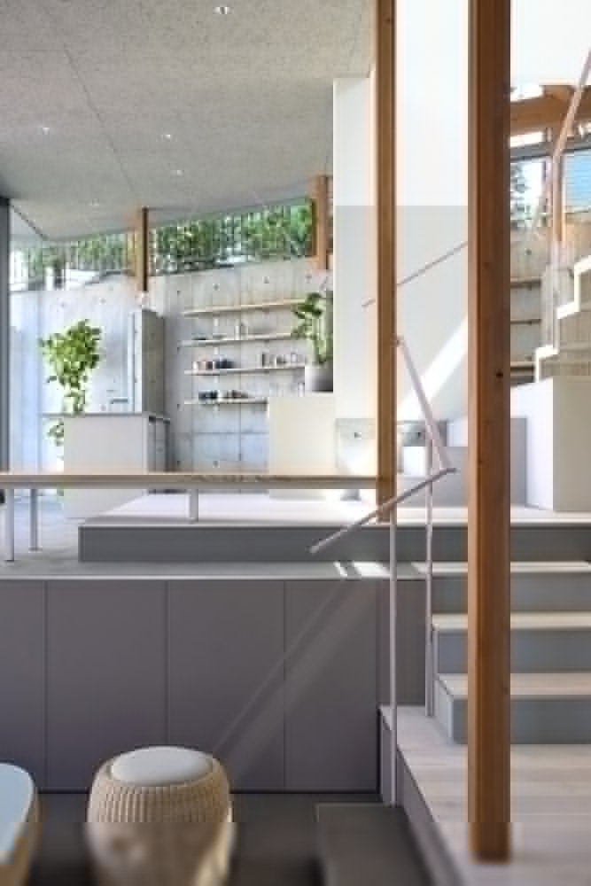 Interior view through timber framing toward kitchen counter and staircase with potted plants in sunlight
