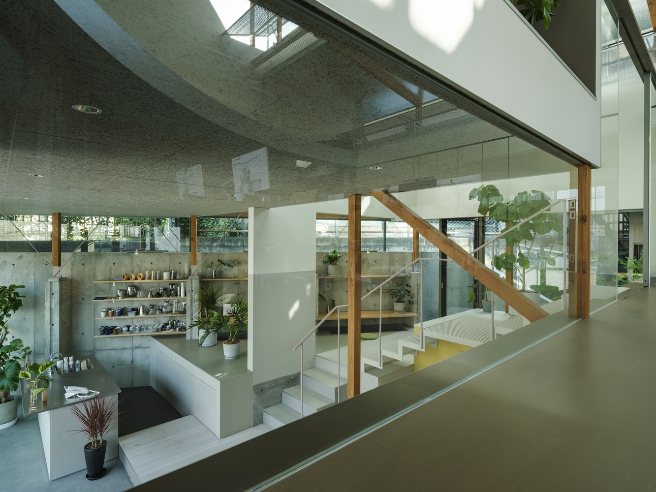 Multi-level interior with diagonal timber struts framing a staircase and planted zones in natural light