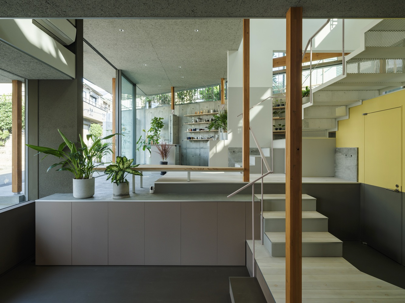 Split-level interior with timber columns framing stairs and kitchen island with potted plants in morning light