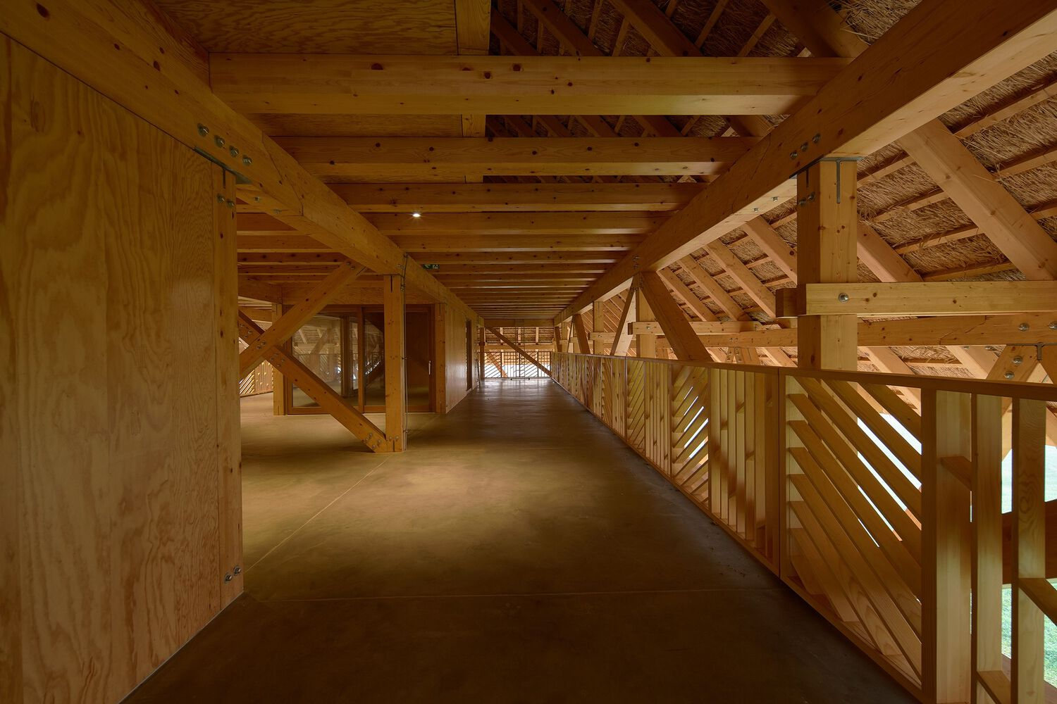 Interior corridor with timber framing, plywood partitions and slatted railings under exposed roof structure