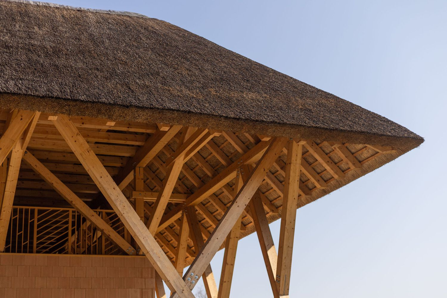 Corner detail of the thatched roof eave with exposed timber rafters and diagonal bracing below
