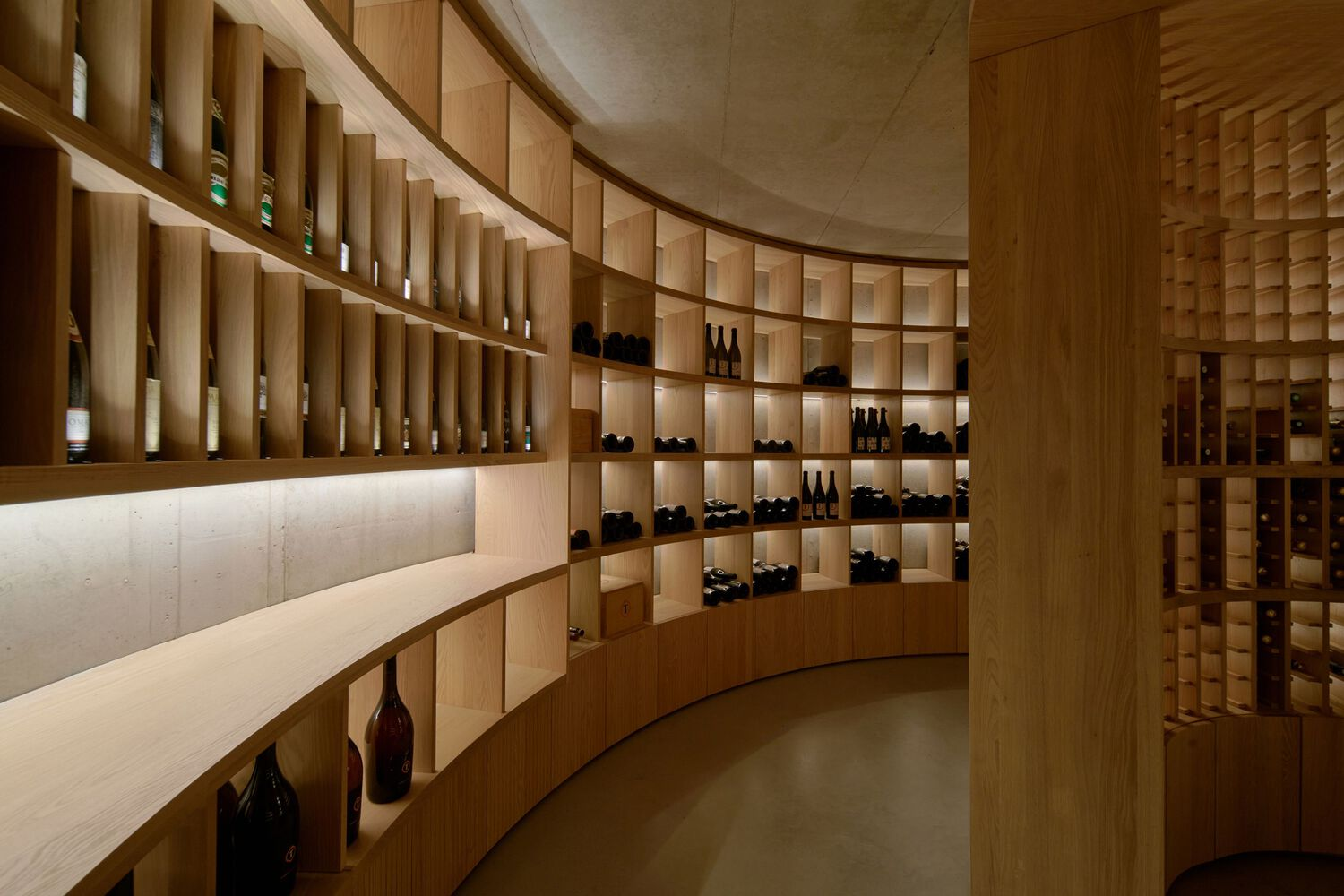 Curved wine cellar with timber shelving and integrated lighting beneath a vaulted ceiling