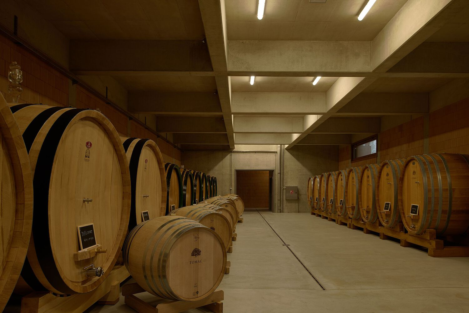 Wine barrel storage room with exposed concrete ceiling beams and linear lighting fixtures