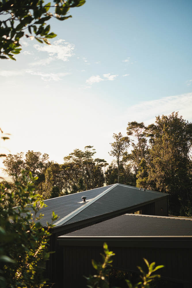 Dark corrugated metal roof emerging from dense tree canopy under afternoon sky with scattered clouds