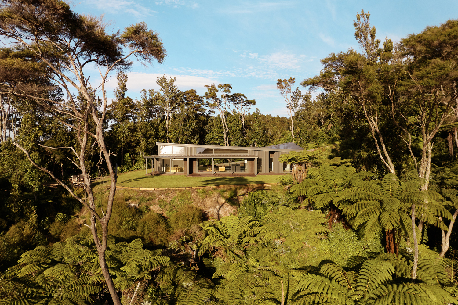 Horizontal residence nestled among native fern trees on a hillside clearing in afternoon light