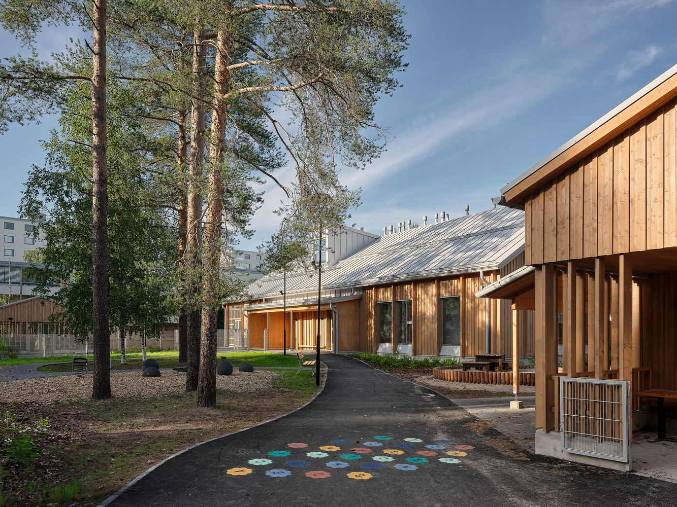 Curving asphalt pathway with colorful painted circles leading past timber-clad facades and retained pine trees