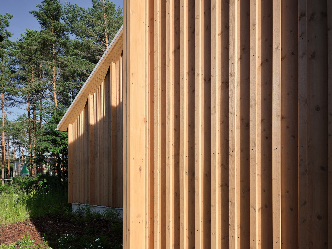 Vertical timber cladding along the sloping facade with tall pine trees in the background