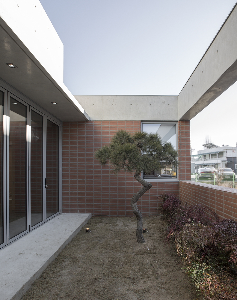Enclosed courtyard with red brick walls and a sculptural pine tree under open sky